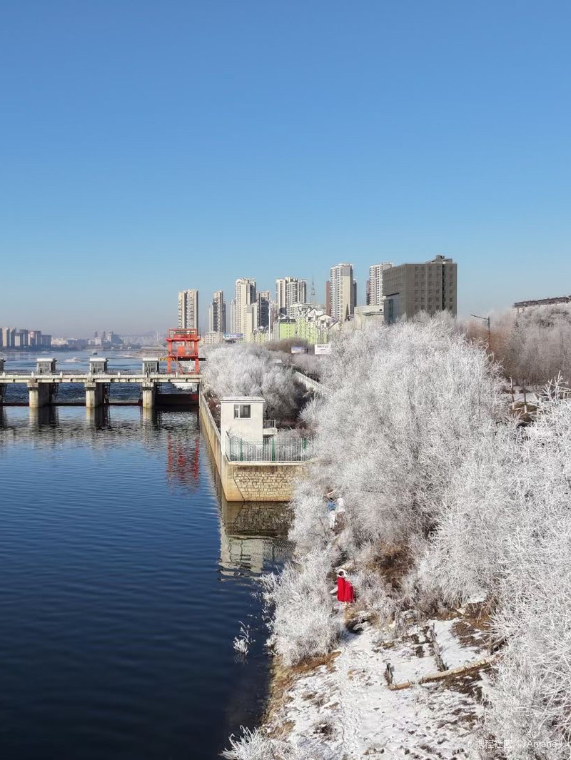 吉林巷弄深处的独特魅力，一家特色小店的惊喜之旅