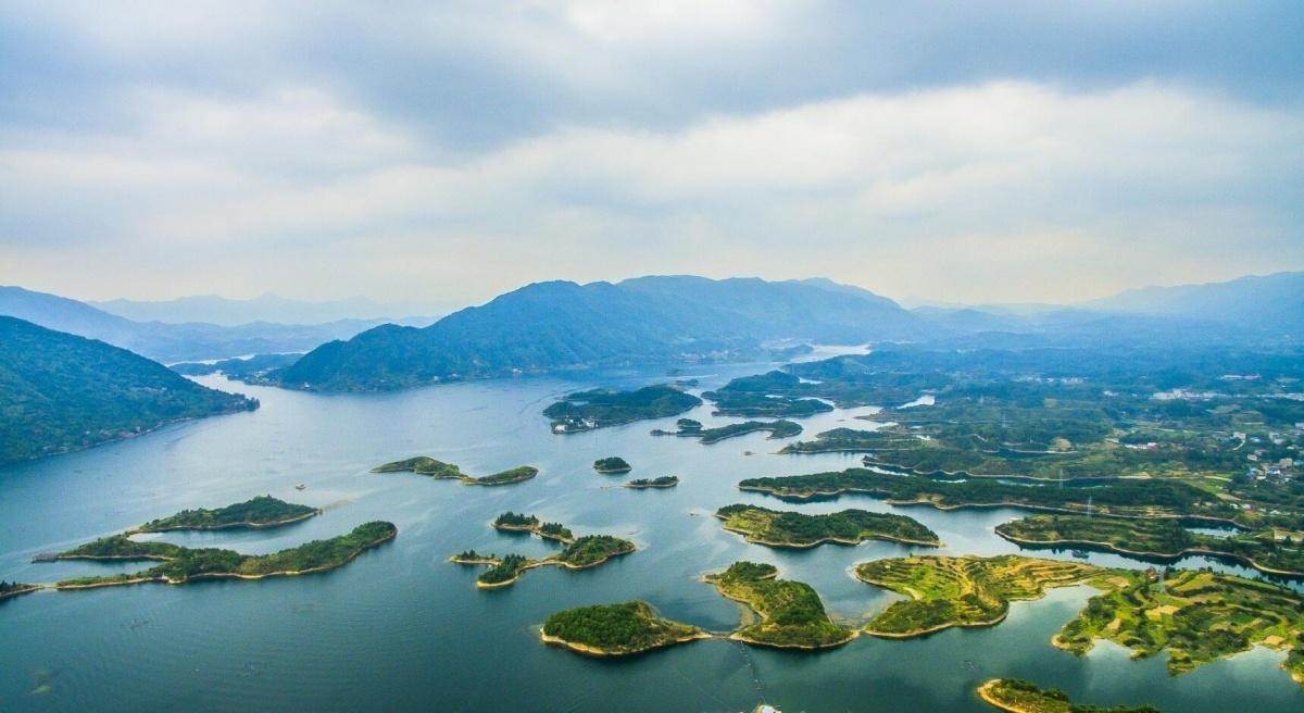 湖北初学者必看，某项任务/技能学习攻略全解析