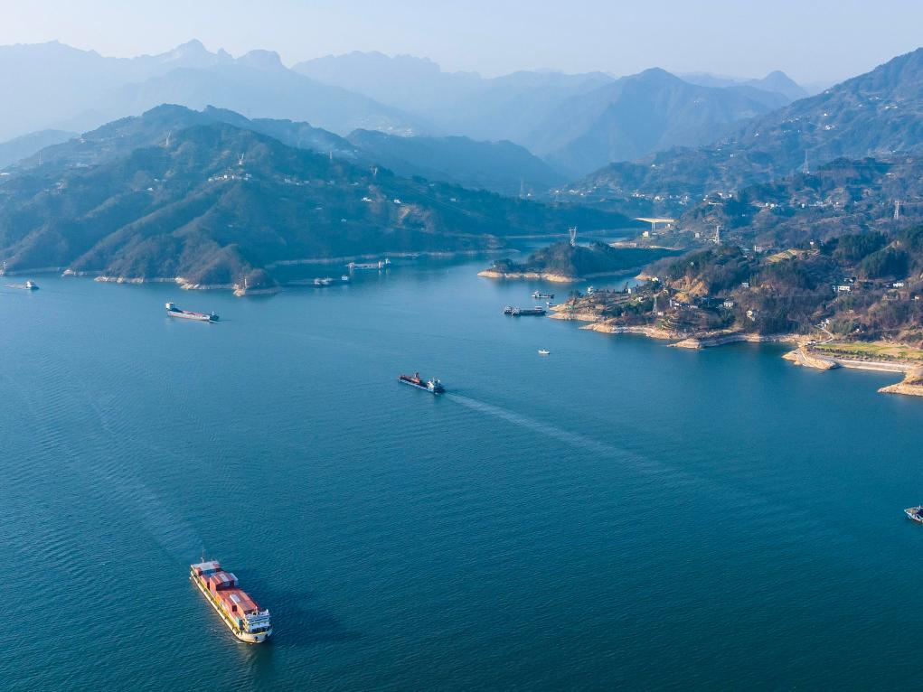 湖北初学者必看,某项任务/技能学习攻略全解析